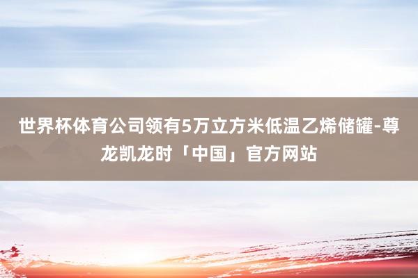 世界杯体育公司领有5万立方米低温乙烯储罐-尊龙凯龙时「中国」官方网站