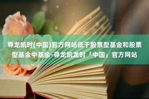 尊龙凯时(中国)官方网站低于股票型基金和股票型基金中基金-尊龙凯龙时「中国」官方网站