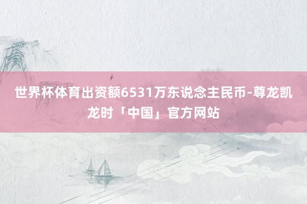 世界杯体育出资额6531万东说念主民币-尊龙凯龙时「中国」官方网站