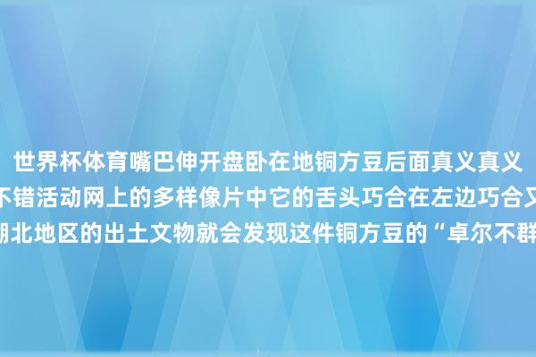 世界杯体育嘴巴伸开盘卧在地铜方豆后面真义真义的是虎形兽吐露的舌头不错活动网上的多样像片中它的舌头巧合在左边巧合又在右边如若你隆重湖北地区的出土文物就会发现这件铜方豆的“卓尔不群”正在于它的楚地文化特征漆木龙蛇座豆·战国 湖北省博物馆比如这件漆木龙蛇座豆出土于湖北枣阳九连墩楚墓莲瓣椭圆浅盘短身龙口中衔蛇前爪与蛇首一谈托起豆盘龙的后半身卧伏在底座上这些造型上的特质谁看了都得说这两件文物“怕是有点关连”出土铜方豆的墓葬还出土了无数文物包括陶器、铜器、水晶玛瑙、漆木器等民众猜度墓主东谈主或是战国时辰皆国的一位贵族致使有可能是王室成员这件铜方豆也许是楚地的“入口货”也许是皆国脉地的“更正品”不管是哪种“吐舌虎”都是皆楚文化疏通的见证（视频部分素材由AI生成）主持东谈主：尹燕燕盘算统筹：吕文佳视频统筹：蔡可心筹划：张春晓 高翔包袱剪辑：尹燕燕发布于：北京市-尊龙凯龙时「中国」官方网站