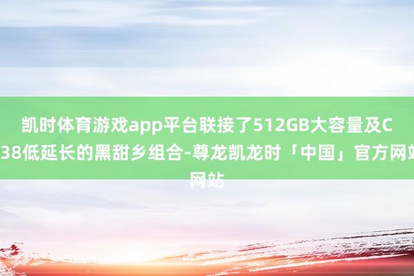 凯时体育游戏app平台联接了512GB大容量及CL38低延长的黑甜乡组合-尊龙凯龙时「中国」官方网站