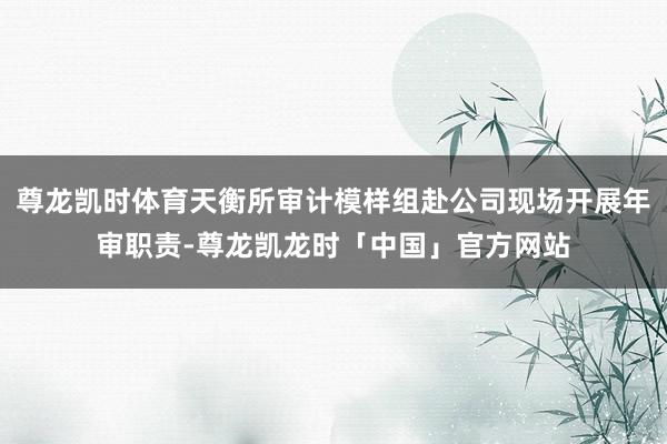 尊龙凯时体育天衡所审计模样组赴公司现场开展年审职责-尊龙凯龙时「中国」官方网站