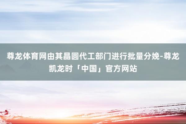 尊龙体育网由其晶圆代工部门进行批量分娩-尊龙凯龙时「中国」官方网站