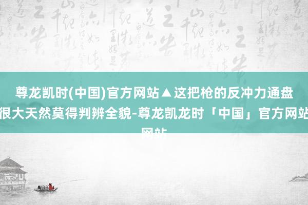 尊龙凯时(中国)官方网站▲这把枪的反冲力通盘很大天然莫得判辨全貌-尊龙凯龙时「中国」官方网站