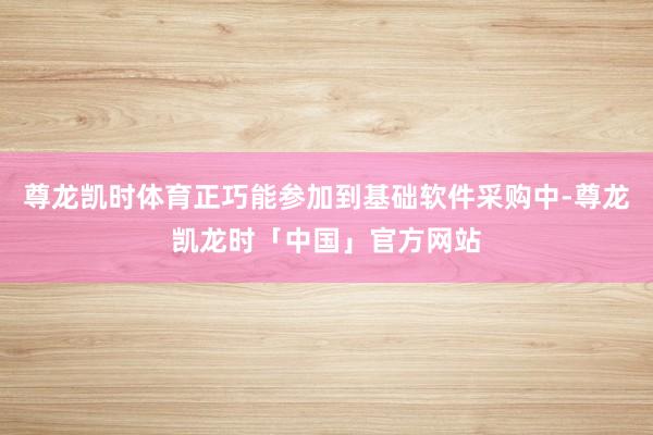 尊龙凯时体育正巧能参加到基础软件采购中-尊龙凯龙时「中国」官方网站