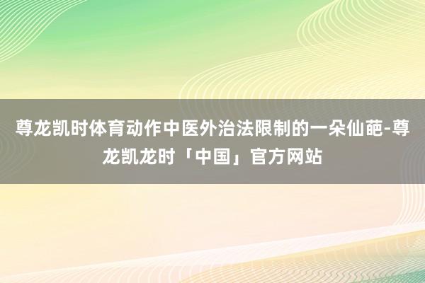 尊龙凯时体育动作中医外治法限制的一朵仙葩-尊龙凯龙时「中国」官方网站