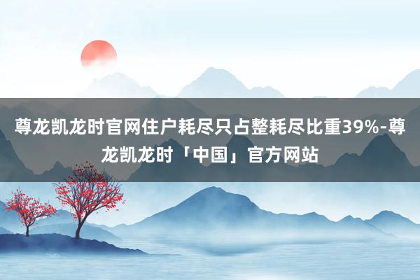 尊龙凯龙时官网住户耗尽只占整耗尽比重39%-尊龙凯龙时「中国」官方网站