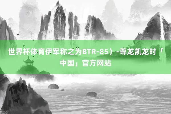 世界杯体育伊军称之为BTR-85）-尊龙凯龙时「中国」官方网站